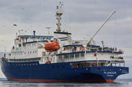 Plancius