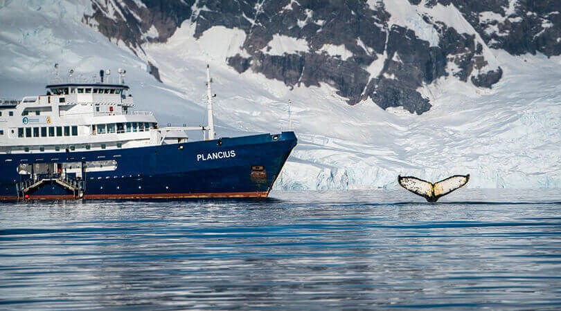Plancius Antarctica Cruise