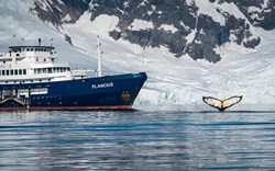 Plancius Antarctica Cruise Ship (3).jpeg