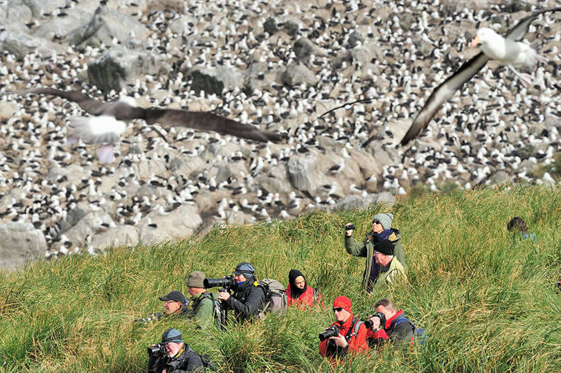 falkland islands & antarctica cruise