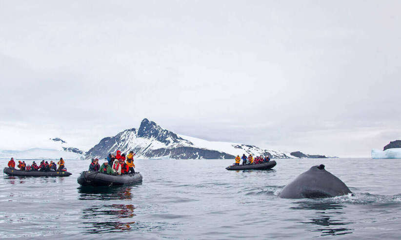 Antarctica Air Cruises (3).jpg
