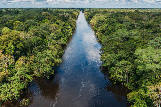 The mighty Amazon winds through dense Peruvian rainforest, a lifeline of the jungle's untamed beauty. 