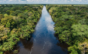 Aria Amazon Cruise