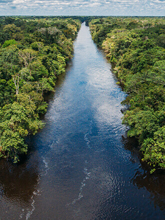 Aria Amazon Cruise