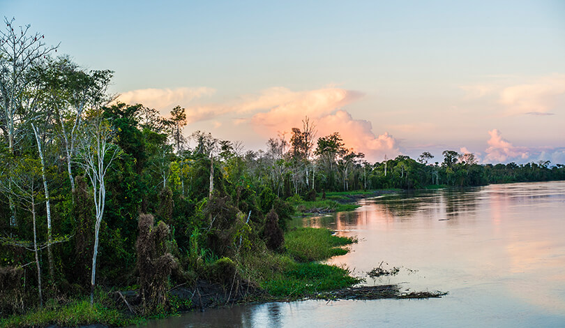 New 8-2015 Amazon Landscape 1 - High Resolution.jpg