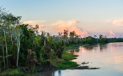 New 8-2015 Amazon Landscape 1 - High Resolution.jpg