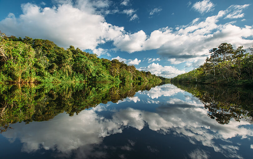 New 8-2016 Mirrored Forest 3 - High Resolution.jpg