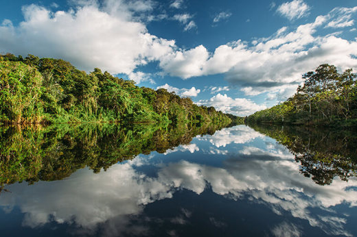 New 8-2016 Mirrored Forest 3 - High Resolution.jpg