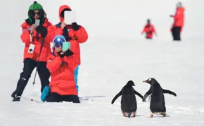 Sea Spirit Antarctica Cruise (2).jpg (3)