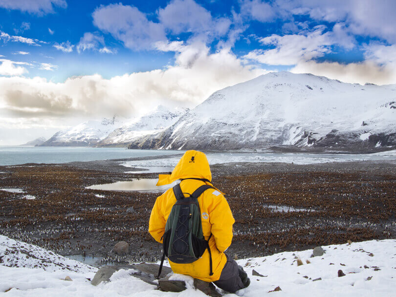South Georgia (1).jpg