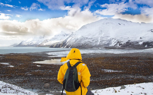 South Georgia (1).jpg