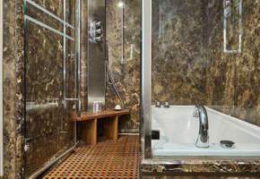 Shower in Medallion Suite