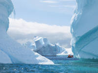 Antarctica cruise