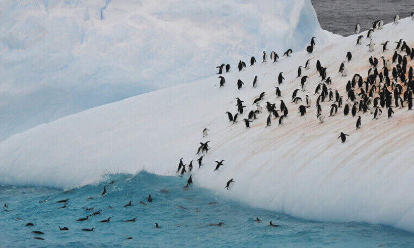 Silver Cloud Antarctica Cruise (2).jpg