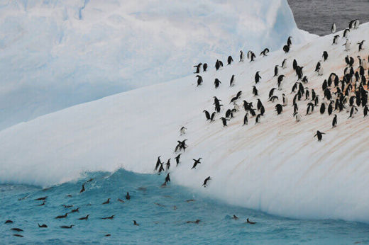 Silver Cloud Antarctica Cruise (2).jpg