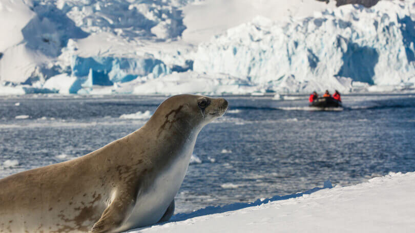 Silver Cloud Antarctica Cruise (6).jpg