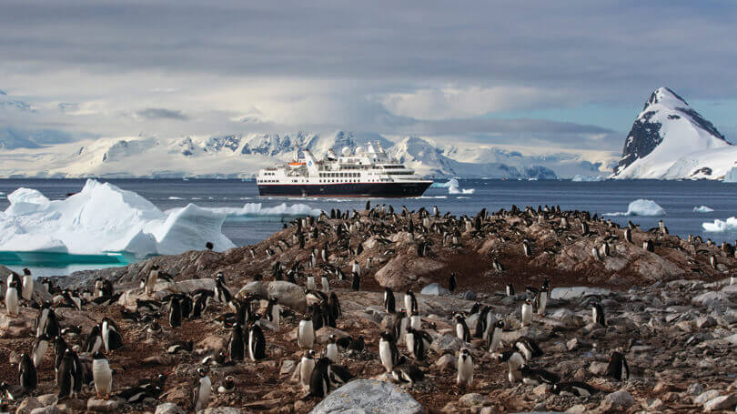 Penguins in Antarctica