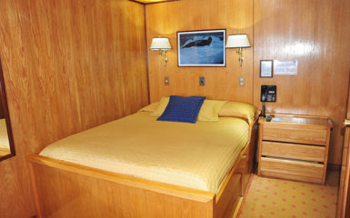Image for: Double Cabin - Olympo Deck