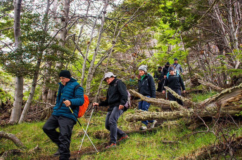 Trekking in Tierra del Fuego