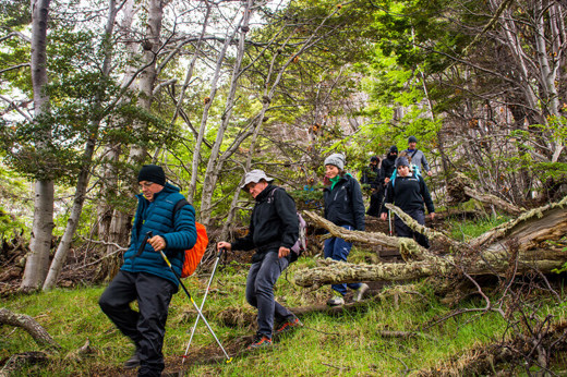 Trekking in Tierra del Fuego