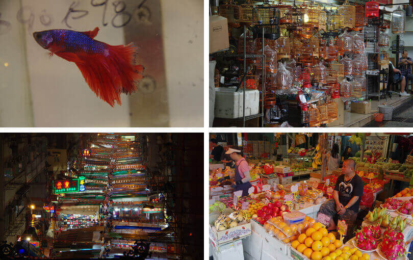 best things to do in Hong Kong - Kowloon Markets