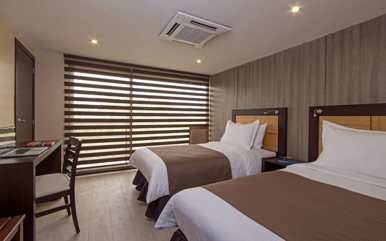 Standard Twin Suite