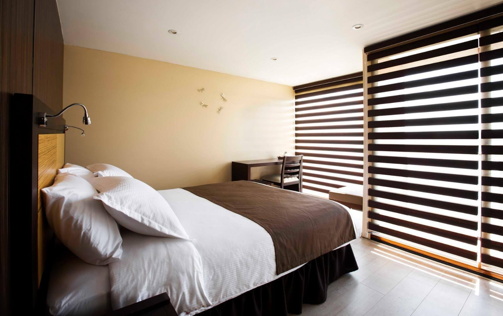 Deluxe Double Suite 3