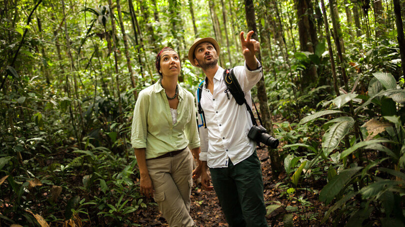 Visitors on a guided trek through the Peruvian Amazon rainforest, learning about local wildlife and plants. 