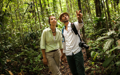Visitors on a guided trek through the Peruvian Amazon rainforest, learning about local wildlife and plants. 
