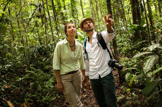 Rainforest trek