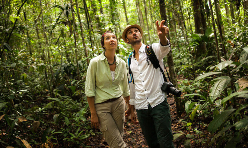 Visitors on a guided trek through the Peruvian Amazon rainforest, learning about local wildlife and plants. 
