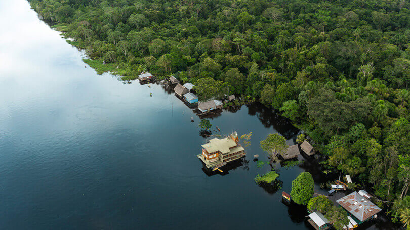 Exploring the Amazon