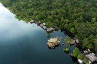 Exploring the Amazon