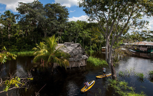 Explore the rainforest