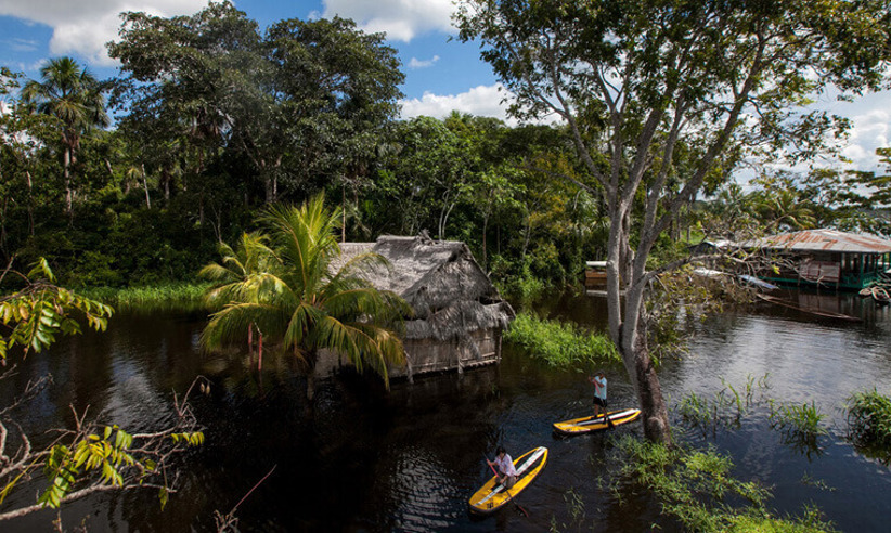 Explore the rainforest