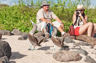 Get close to the amazing wildlife