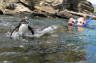 Snorkelling with penguins