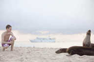 Getting up close to sea lions