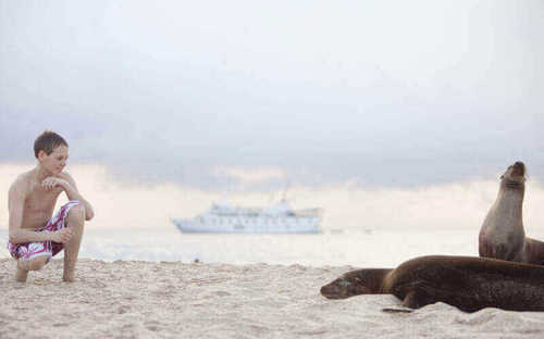 Getting up close to sea lions