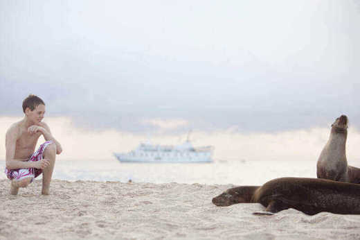 Getting up close to sea lions
