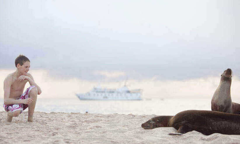 Getting up close to sea lions