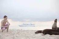 Getting up close to sea lions
