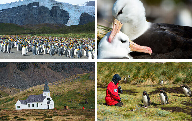 combining antarctica with falklands