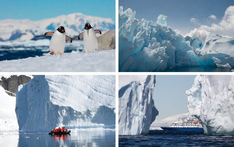 When to visit Antarctica - November