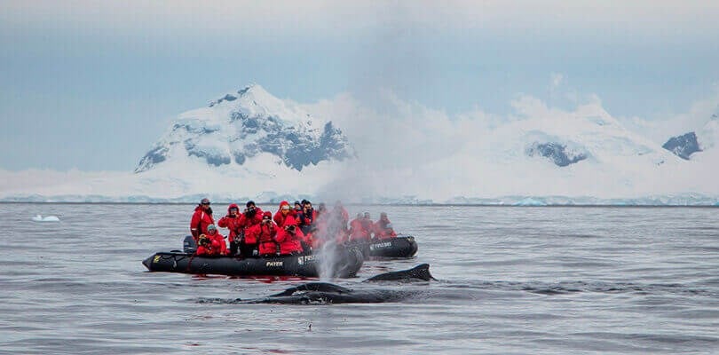 best time to visit Antarctica - february