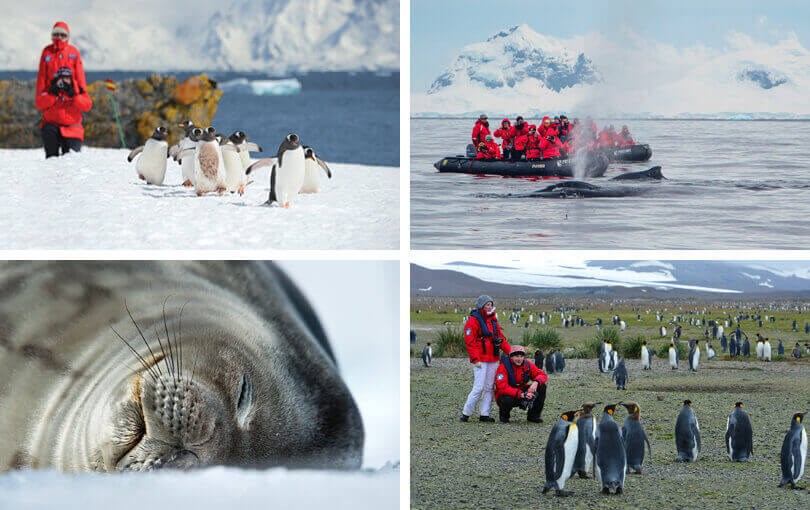 activities in antarctica