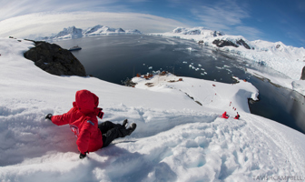 Image for: Antarctica Activities & Excursions