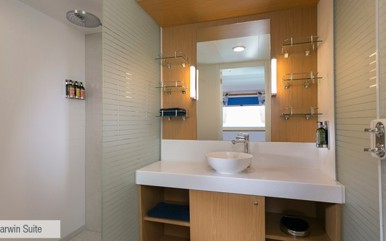 Darwin Suite Bathroom Santa Cruz II.jpg