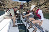 Explore on a glass bottomed boat