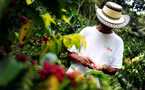 Bogota Coffee Farmer